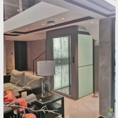 Thang máy nhà an toàn Villa Traction 0.6 M/S Cung cấp điện đơn / ba pha