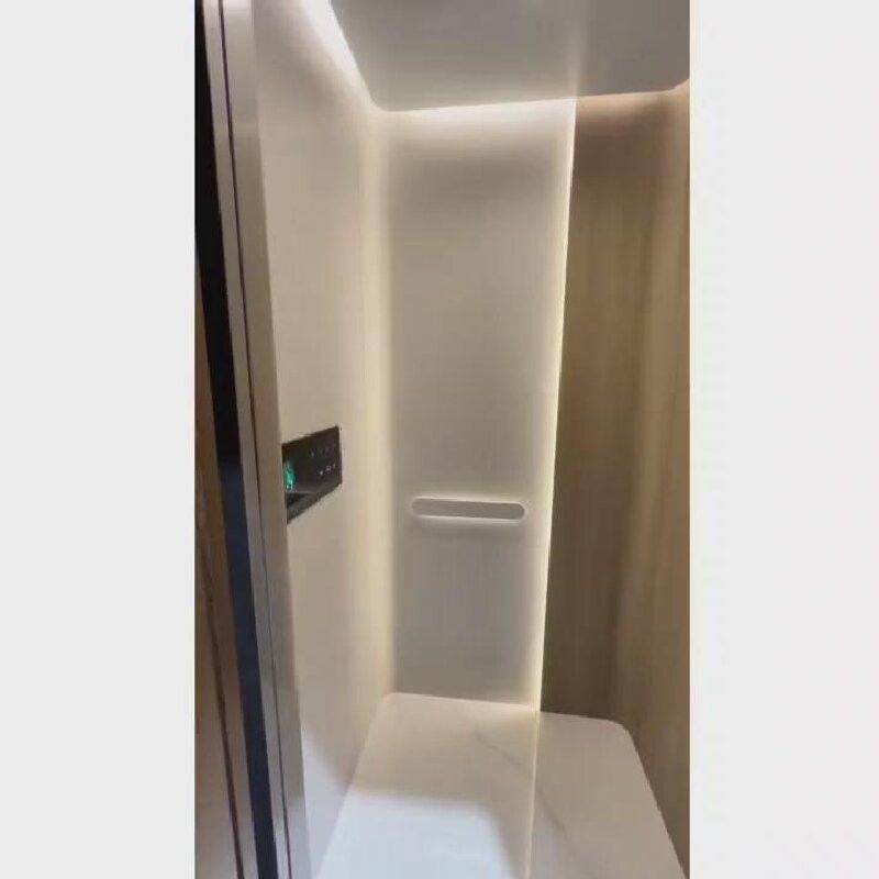 220V AC Screw Drive Home Lift với cửa trượt tự động và dung lượng 400 kg