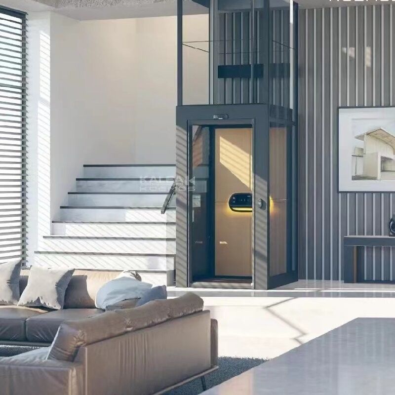 Thang máy gia dụng trong nhà 500kg Thang máy nhỏ cho nhà