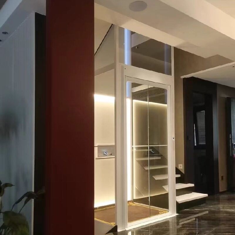 Thang máy gia dụng thủy lực đơn pha AC với động cơ 4,7 KW cho công suất 220V