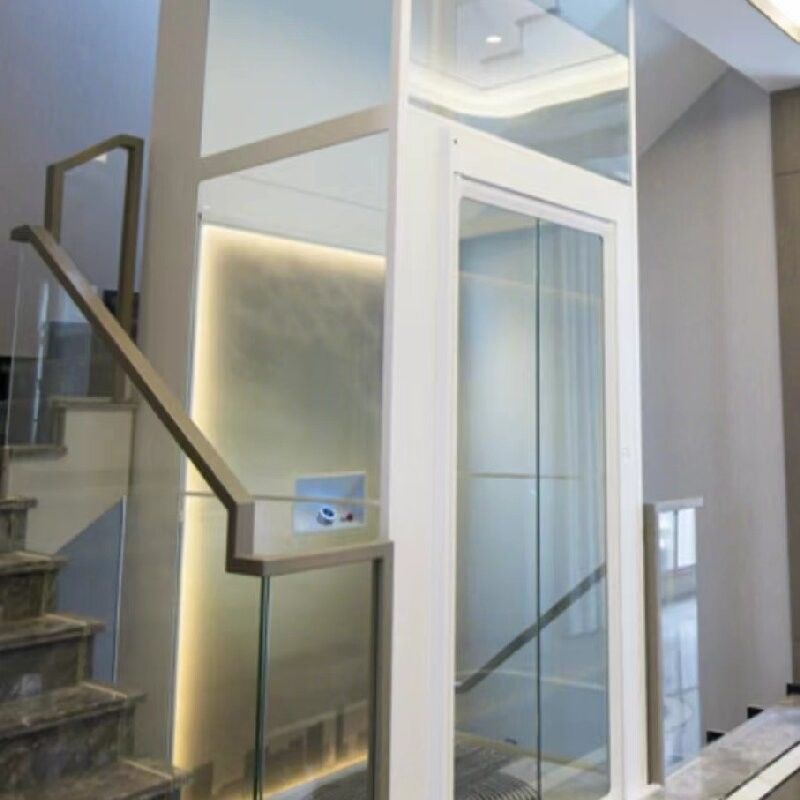 Thang máy cabin hợp kim nhôm một pha với xi lanh lớn dài 2,9 mét và cửa tự động