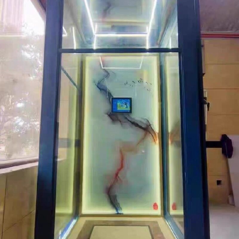 2.2 Động cơ Kw khung thép không gỉ của thang máy thủy lực cabin cho công việc nặng